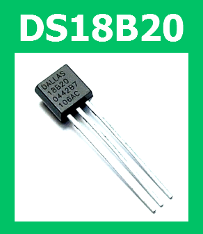 DS18B20 Digital Thermometer